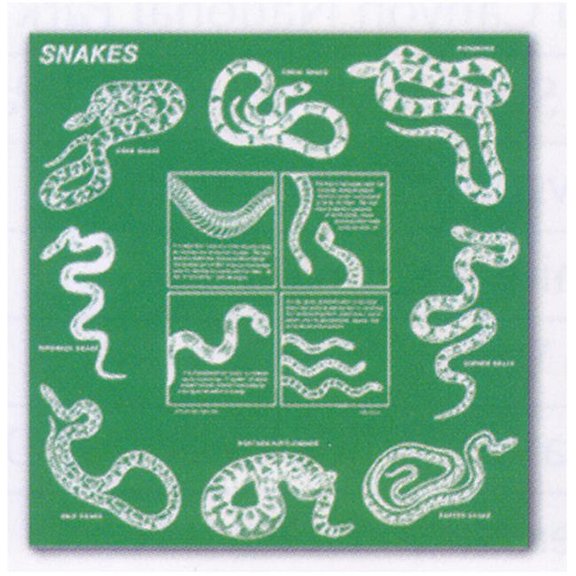 Printed Image Snakes Bandanna