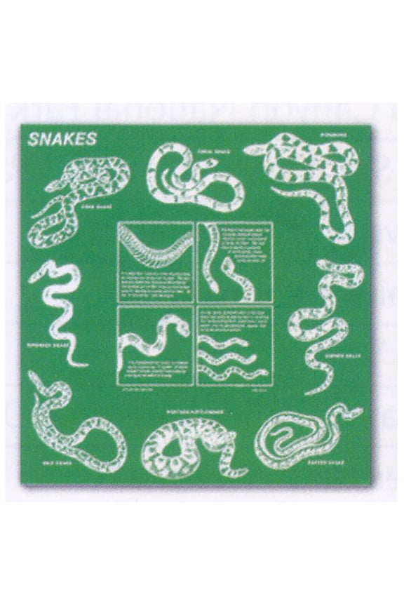 Printed Image Snakes Bandanna