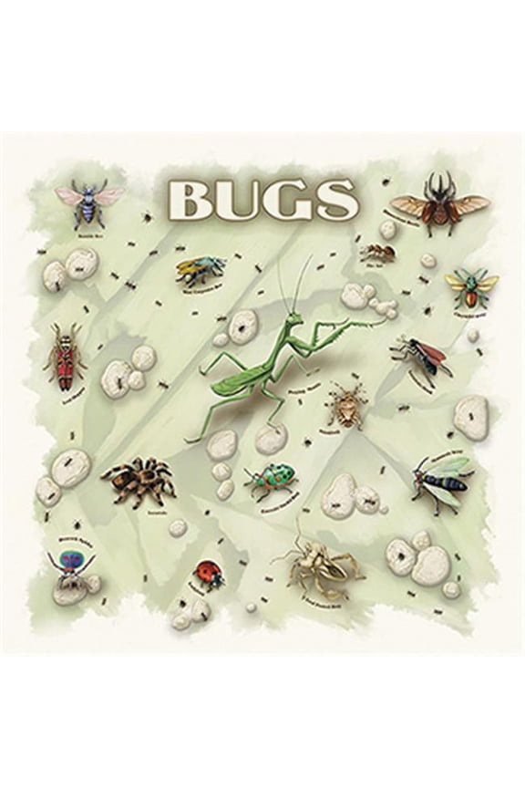 104124 Bugs Bandana, 22 x 22 in.