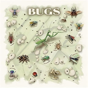 The Printed Image 104124 Bugs Bandana, 22 x 22 in.