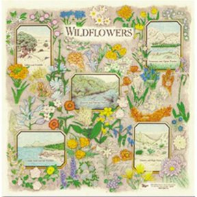 Printed Image Wildflowers Bandanna (2nd)