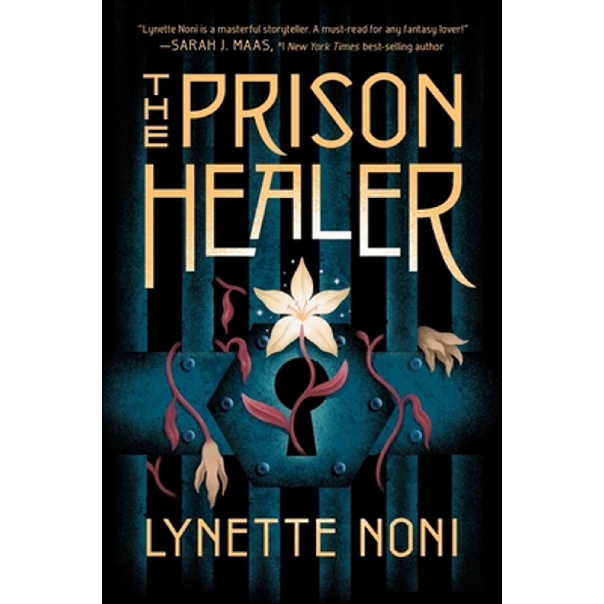 Pre-Owned The Prison Healer Hardcover