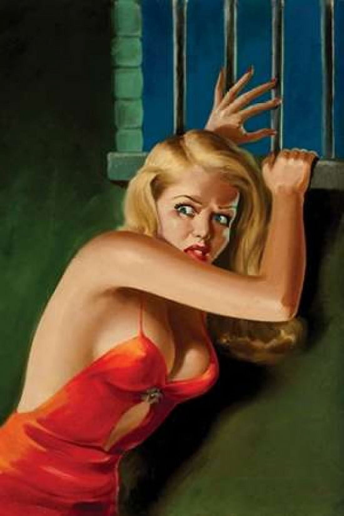The Prisoner - Pulp Cover Canvas Art - Peter Driben (12 x 18)