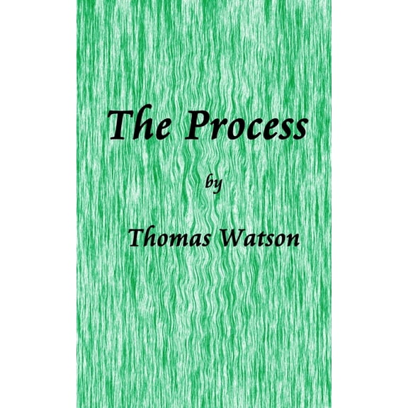 The Soul of Wit: Short Fiction and Essay The Process: Nine Essays on the Experience of Writing Fiction & "Muse" A Short Story, (Paperback)