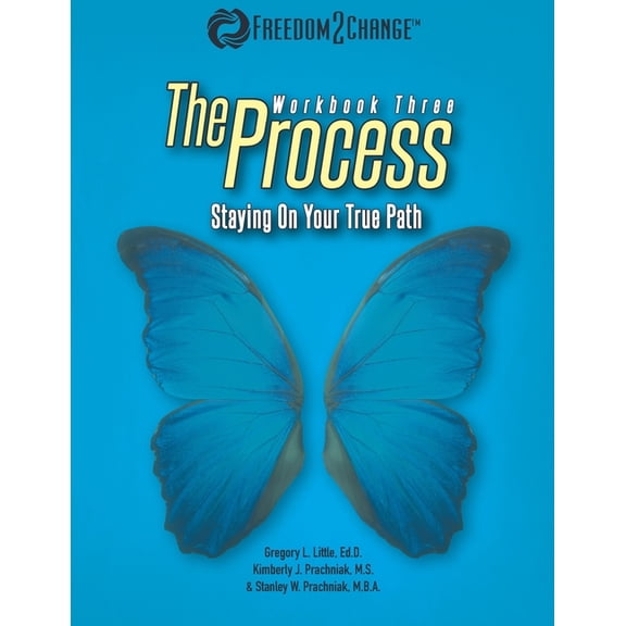 The Process (Paperback)
