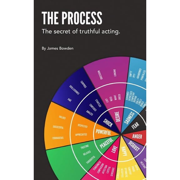 THE PROCESS the secret of truthful acting (Paperback)
