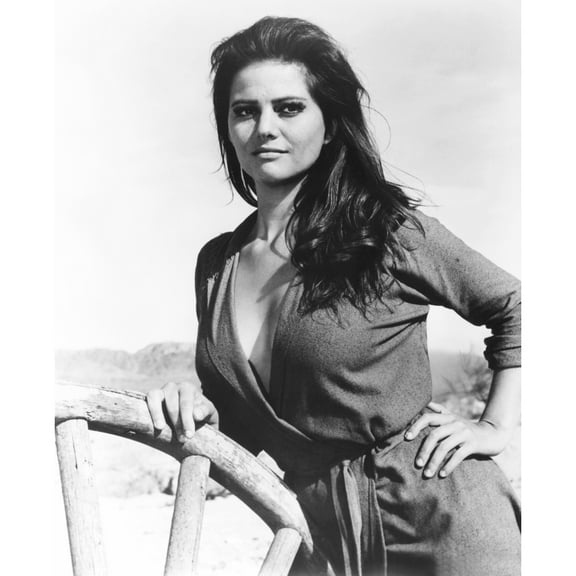 The Professionals Portrait (16 x 20)