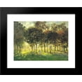 thumbnail image 1 of The Promenade at Argenteuil, Soleil Couchant 20x24 Framed Art Print by Monet, Claude, 1 of 2