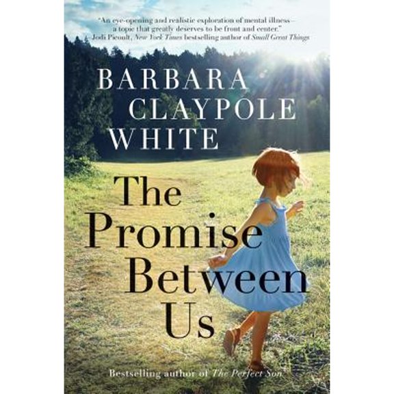 Pre-Owned The Promise Between Us (Paperback) 1542048982 9781542048989