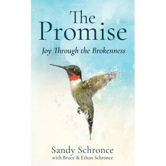 The Promise : Joy Through the Brokenness (Paperback)
