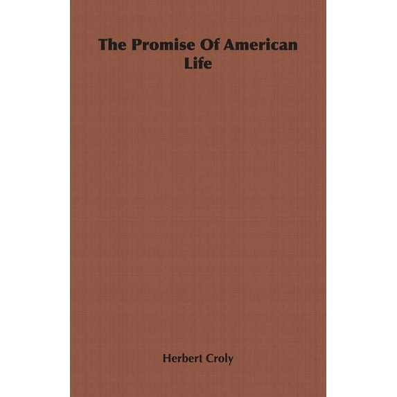 The Promise Of American Life (Paperback)