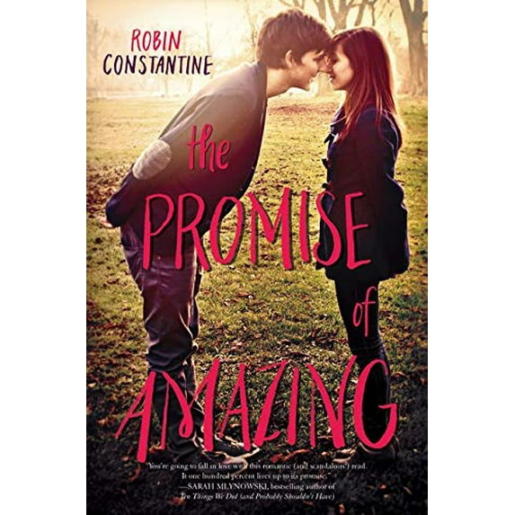 Pre-Owned The Promise of Amazing (Paperback) 0062279491 9780062279491