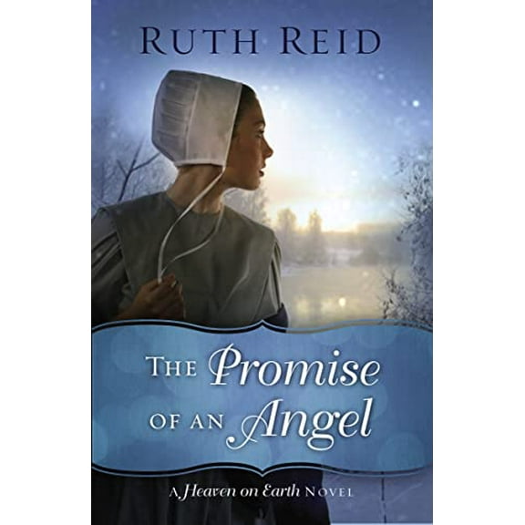 Pre-Owned The Promise of an Angel (Paperback) 0718084772 9780718084776