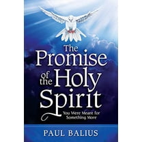Pre-Owned The Promise of the Holy Spirit: You Were Meant for Something More (Paperback) 1734909706 9781734909708