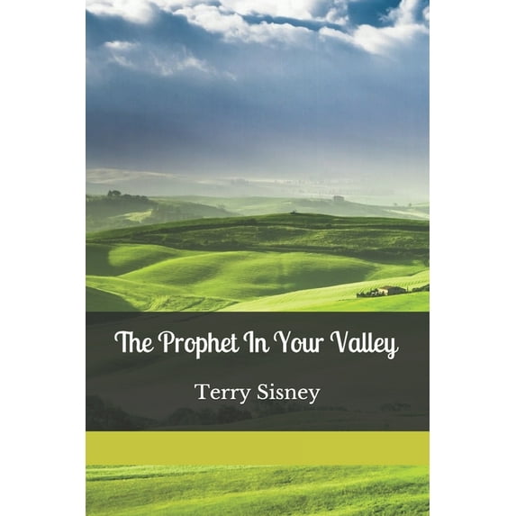 The Prophet In Your Valley (Paperback) by Terry W Sisney
