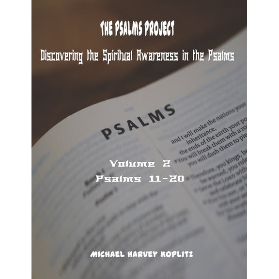 The Psalms Project - The Spiritual Awareness in the Psalms: The Psalms Project Volume Two : Discovering the Spiritual World through the Psalms - Psalm 11 to 20 (Series #2) (Paperback)