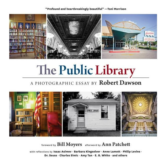 The Public Library : A Photographic Essay (Hardcover)
