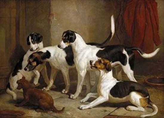 The Puckeridge Foxhounds Canvas Art - Thomas Woodward (20 x 28)