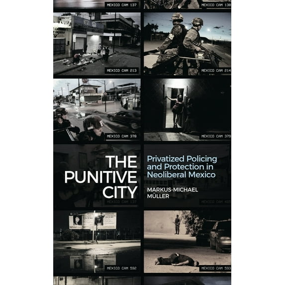 The Punitive City : Privatised Policing and Protection in Neoliberal Mexico (Paperback)