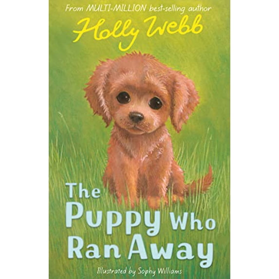 Pre-Owned The Puppy Who Ran Away Paperback