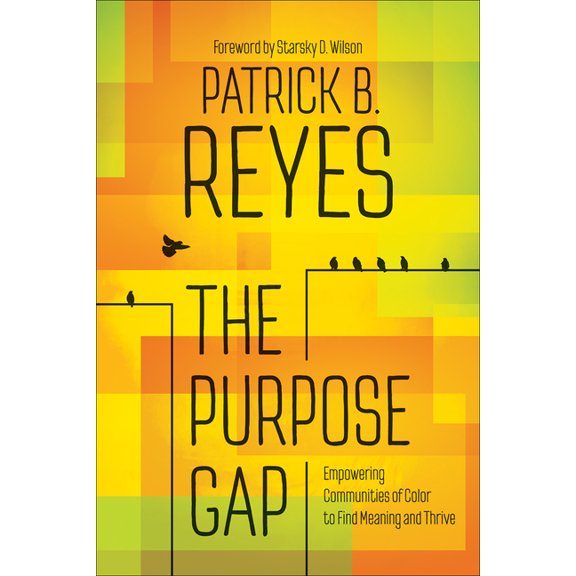 The Purpose Gap: Empowering Communities of Color to Find Meaning and Thrive, (Paperback)