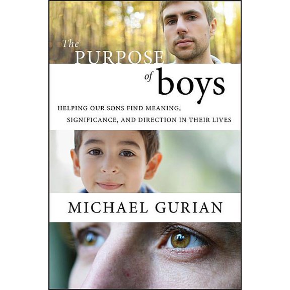 The Purpose of Boys P, (Paperback)