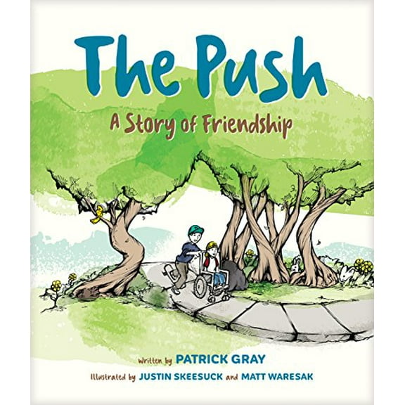 Pre-Owned The Push (Hardcover) 1496428803 9781496428806