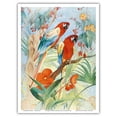 thumbnail image 1 of The Quaint Macaw - Red and Blue - “Aristocrats” - From an Original Color Painting by Edward Julius Detmold c.1930 - Master Art Print (Unframed) 9in x 12in, 1 of 4