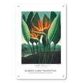 thumbnail image 1 of The Queen Flower (Bird of Paradise) - from the Temple of Flora - Vintage Botanical Illustration by Robert John Thornton c.1807 - 8 x 12 inch Vintage Metal Tin Sign, 1 of 4