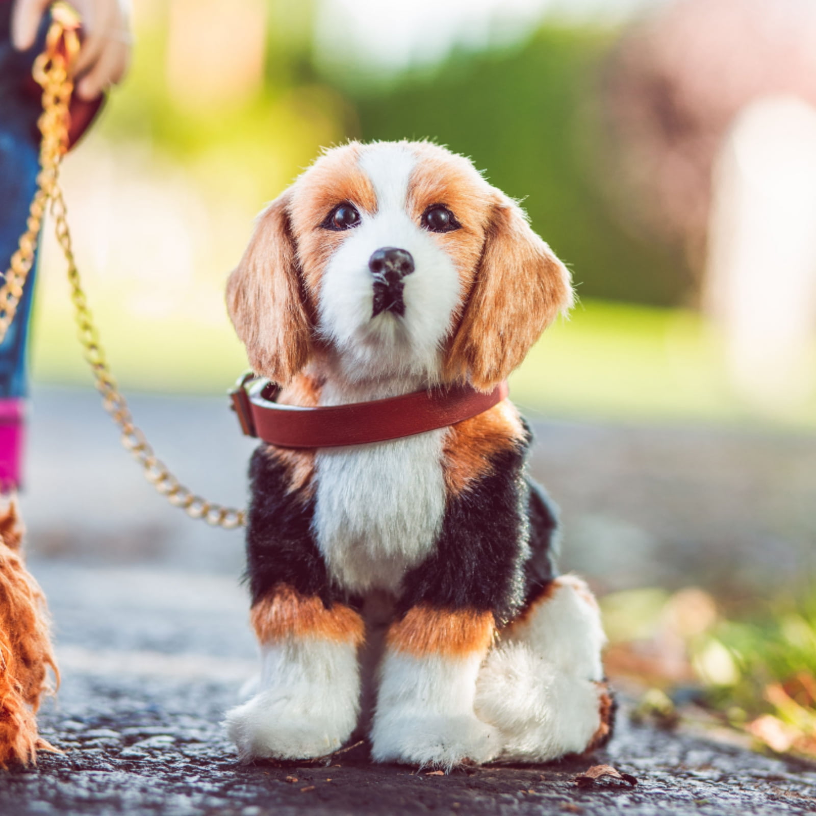 American girl hotsell doll dog leash