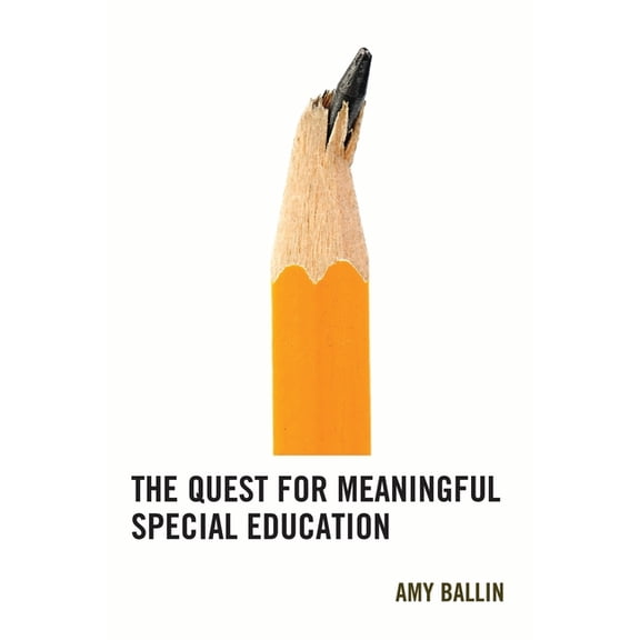 Quest for Meaningful Special Education, (Paperback)
