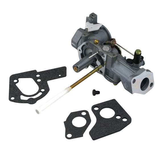 The ROP Shop Carburetor with Gaskets & Plug for Briggs & Stratton 112202, 112212, 112231 5 HP