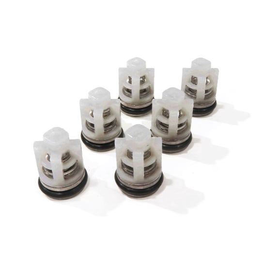 The ROP Shop  Check Valve Repair Kit for Homelite 308653071, 308653057 Pressure Washer Pumps