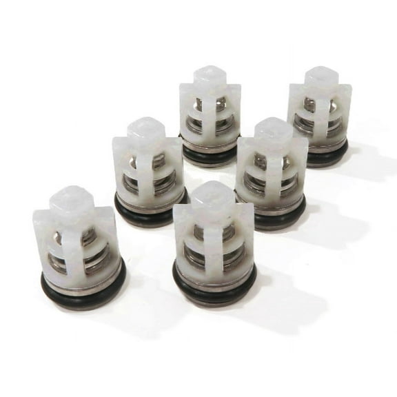 The ROP Shop  Check Valve Repair Kit for Homelite 308653071, 308653057 Pressure Washer Pumps