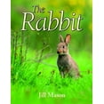 thumbnail image 1 of The Rabbit, 1 of 1