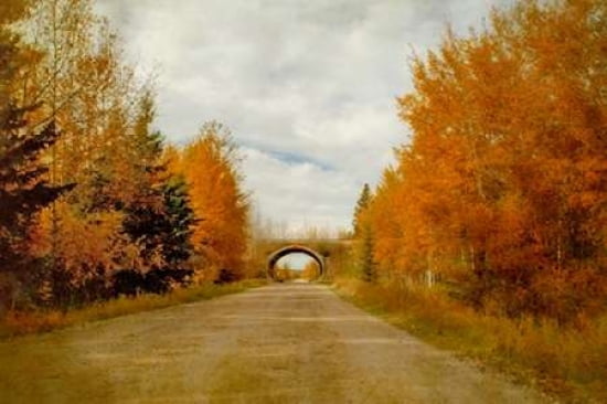 The Railway Bridge Canvas Art - Roberta Murray (12 x 18)