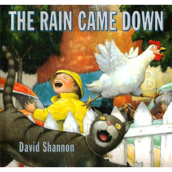 Pre-Owned The Rain Came Down (Paperback) 0439051533 9780439051538