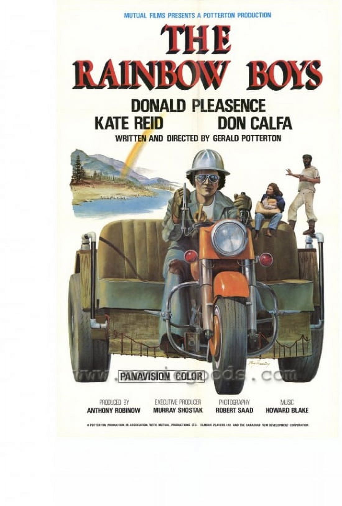 The Rainbow Boys Movie Poster (11 x 17)