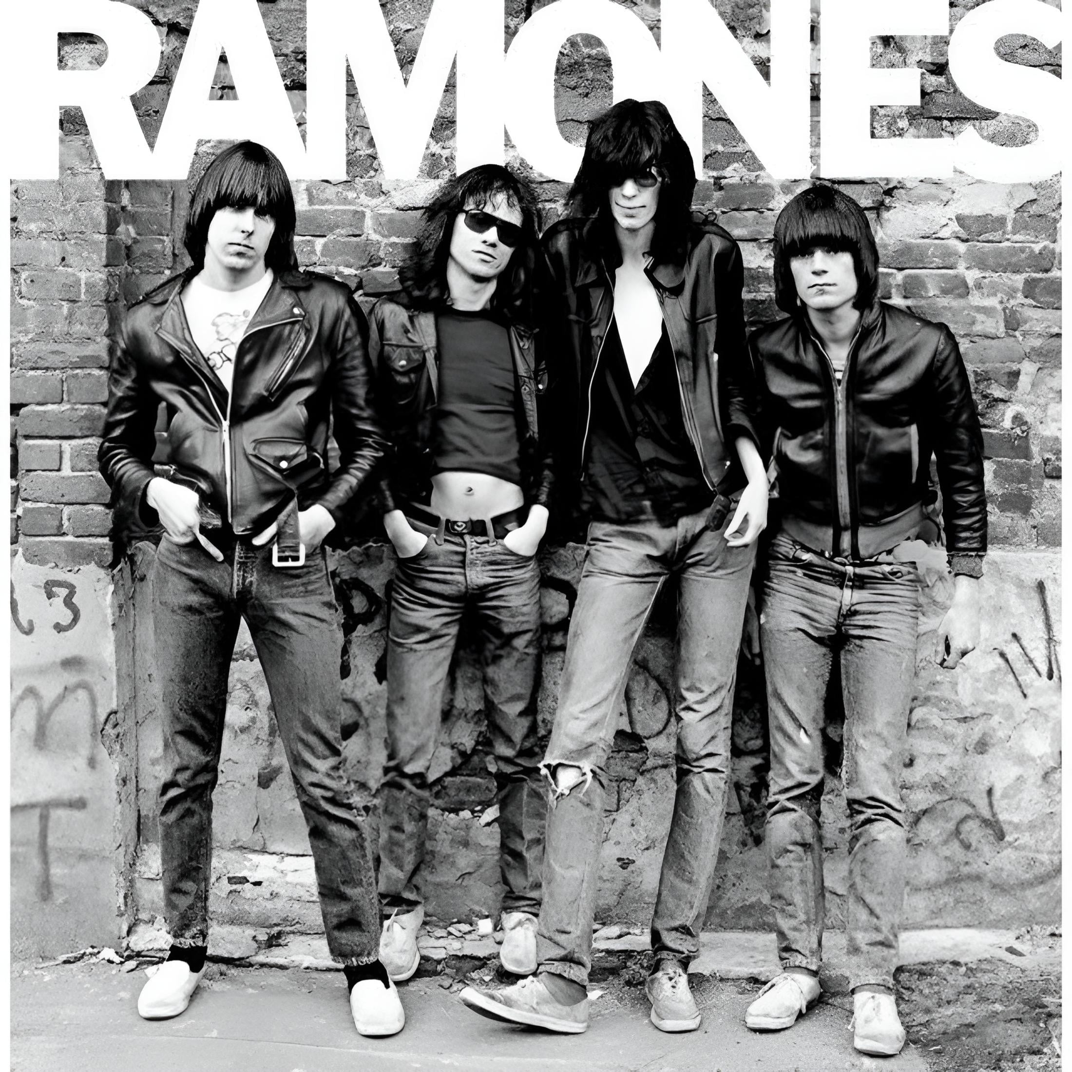 The Ramones - Ramones - Music & Performance - Vinyl - Walmart.com