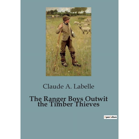 The Ranger Boys Outwit the Timber Thieves: The Ranger Boys' New Challenge, (Paperback)