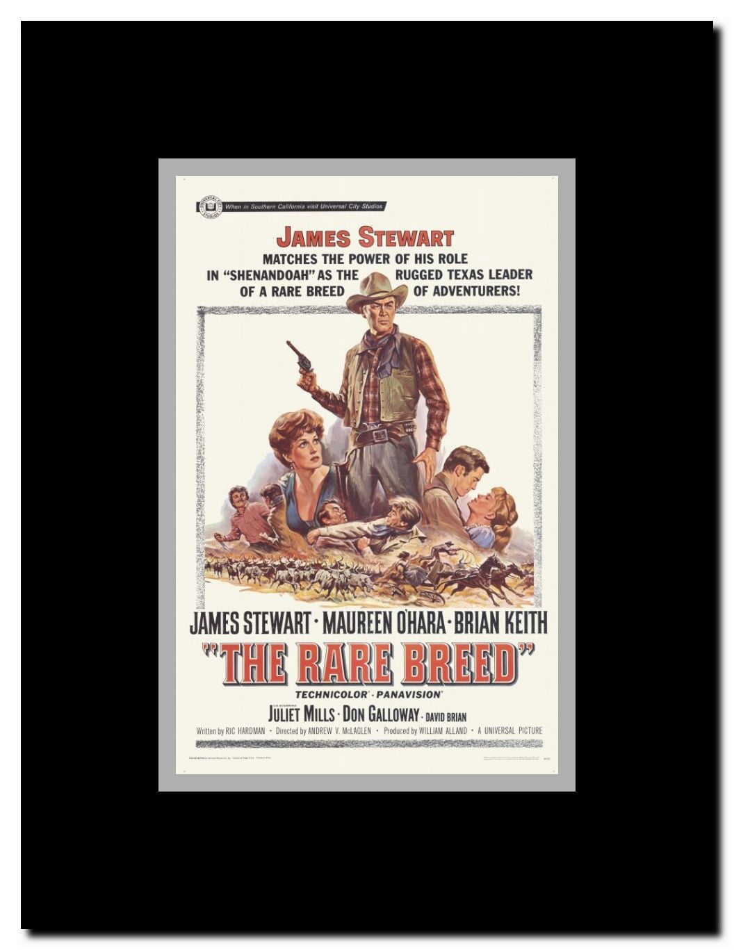 The Rare Breed Framed Movie Poster