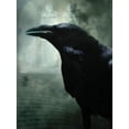 thumbnail image 1 of The Raven - CANVAS OR WALL ART PRINT, 1 of 1