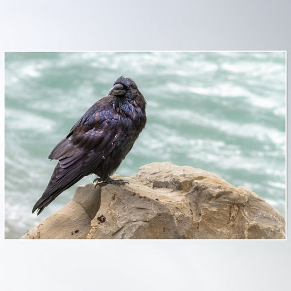 The Raven Poster Wall Art, Modern Wall Decor For Living Room Bedroom, 8x12 UNFRAMED