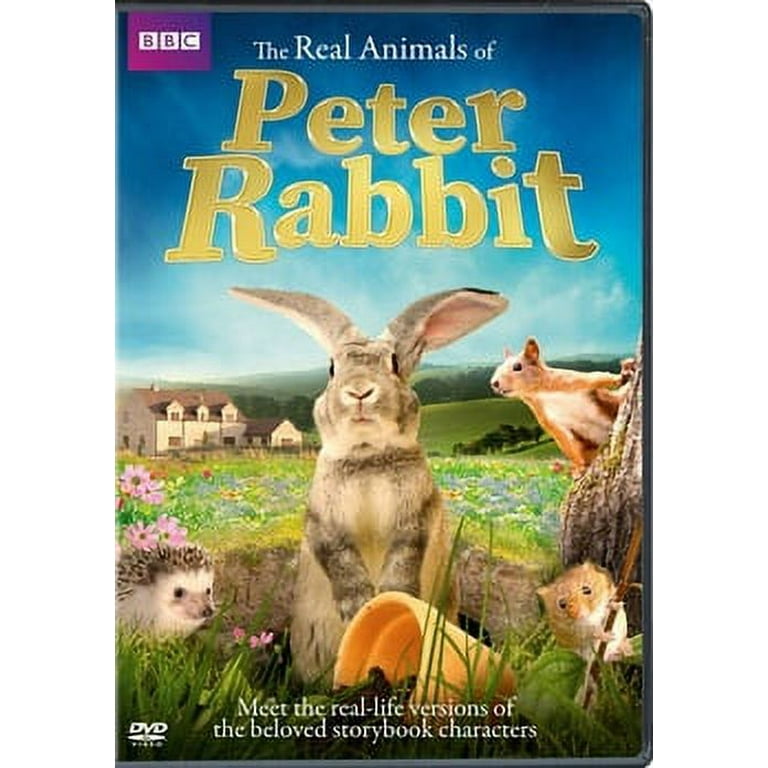 The Beatrix Potter Collection - The World Of Peter Rabbit & Friends [DVD]