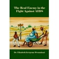 thumbnail image 1 of The Real Enemy in the Fight Against AIDS (Paperback), 1 of 1
