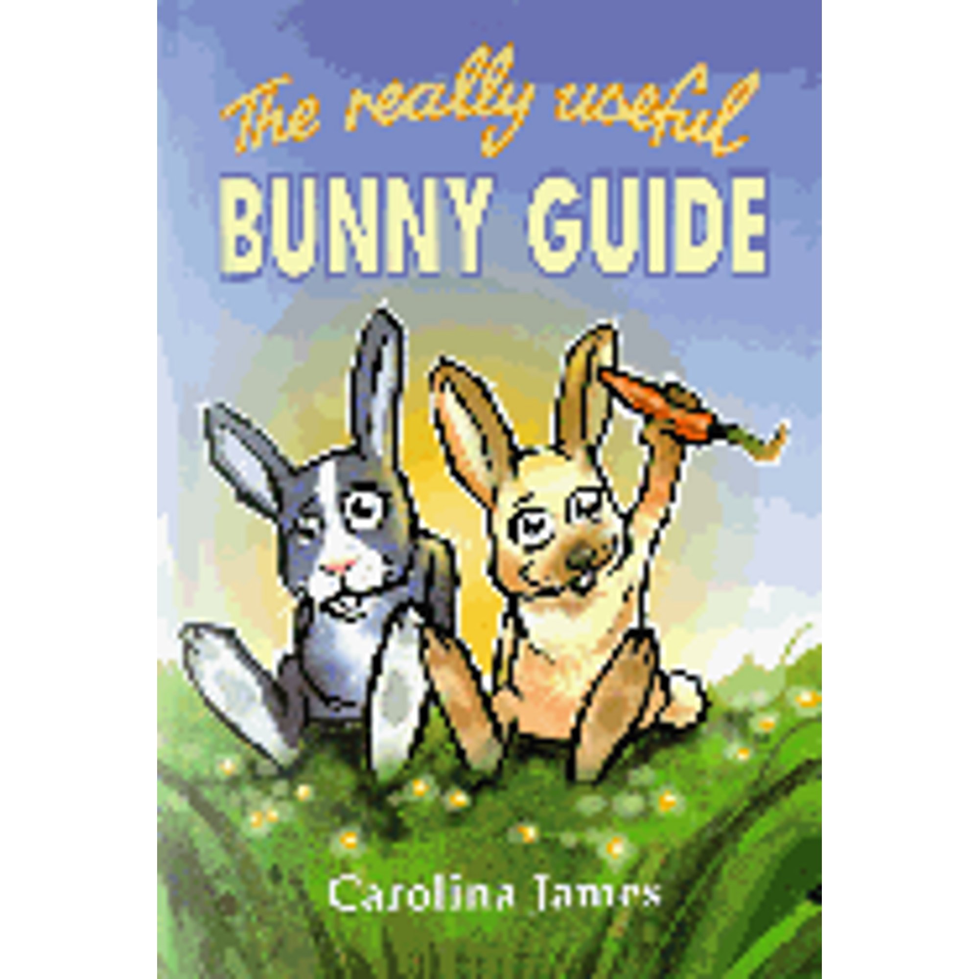 Pre-Owned The Really Useful Bunny Guide (Paperback) 1852790334 ...