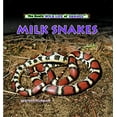thumbnail image 1 of Pre-Owned Milk Snakes (Library Binding) 0823967204 9780823967209, 1 of 1