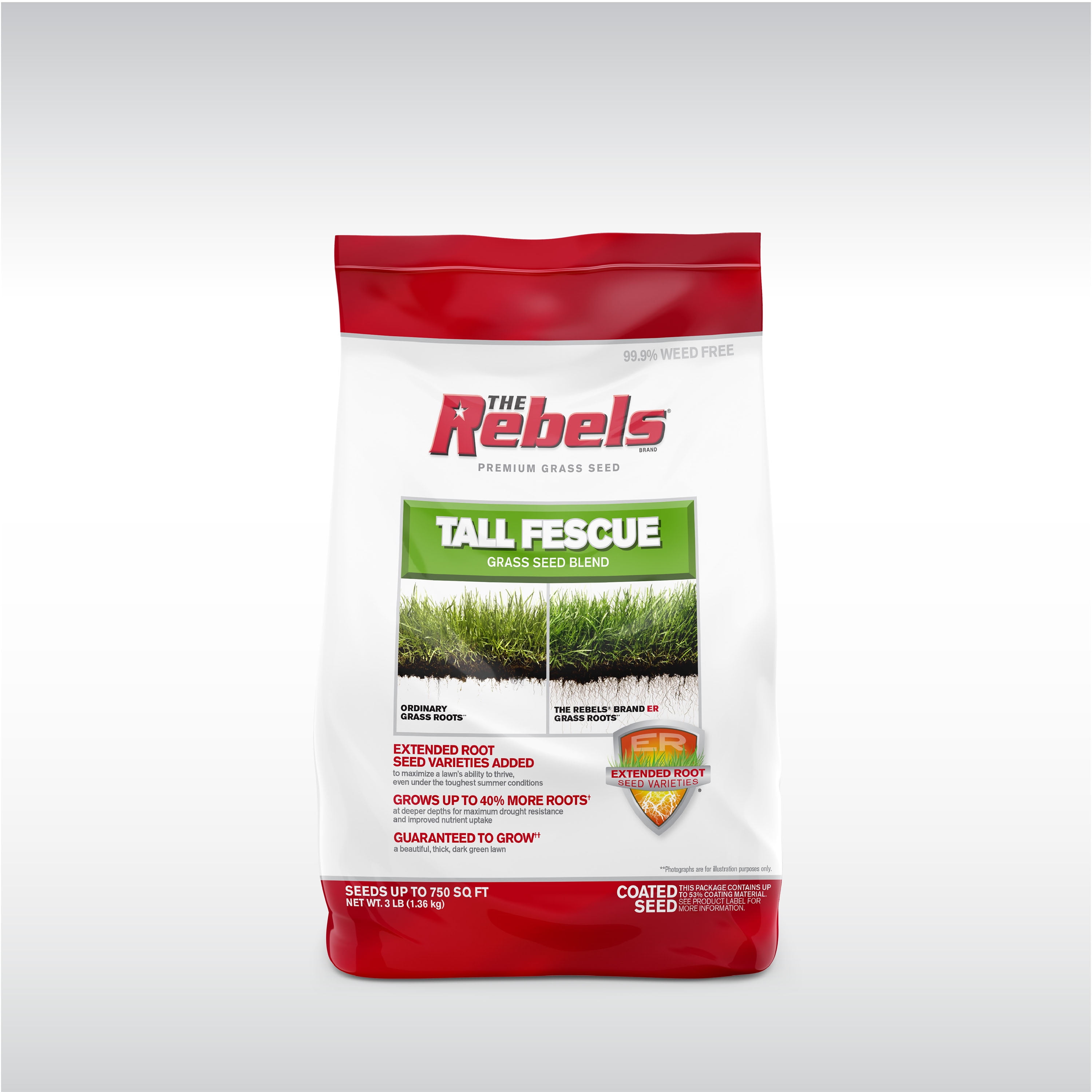 The Rebels Tall Fescue, Sun to Partial Shade Drought Grass Seed Mix; 3