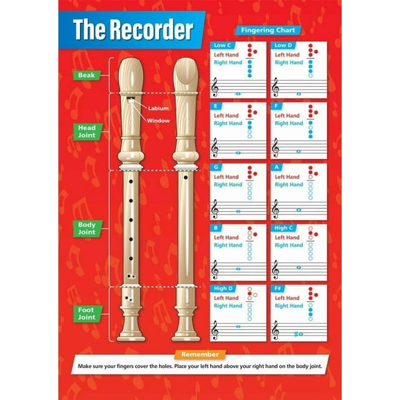 The Recorder Music Classroom Poster Music Middle & High School Class Decoration