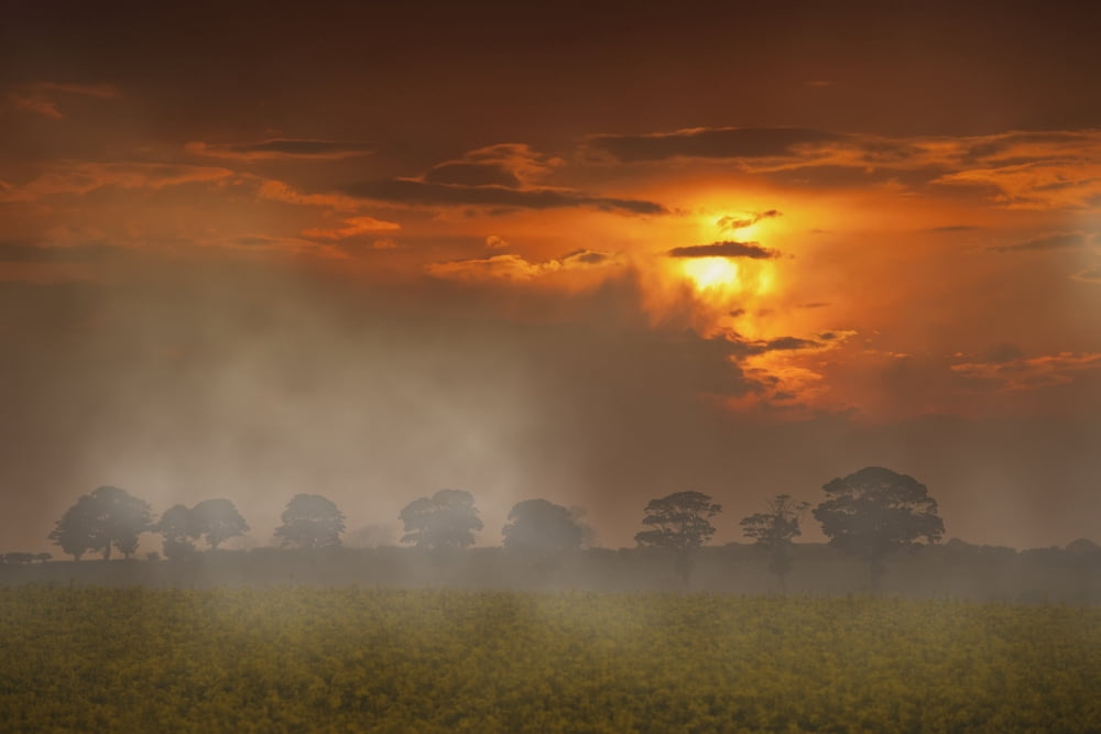The Red Glow Of A Sunset And Fog Over A Field Northumberland England Canvas Art - John Short Design Pics (19 x 12)